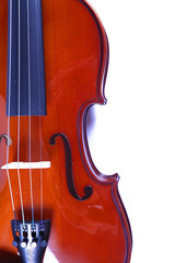Fototapeta premium violon