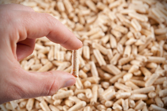 Pellet number one!
