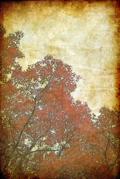 Autumn tree, vintage background
