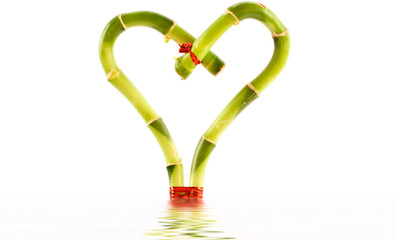 bamboo heart