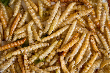 Fried worm bamboo. Close-up