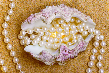 The exotic sea shell with a pearl beads lies on sand..
