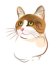 Obraz premium hand drawn portrait of ginger tabby cat