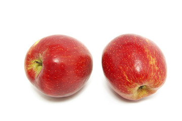 apples