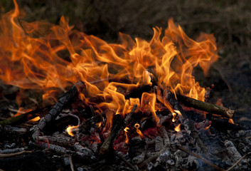 Campfire
