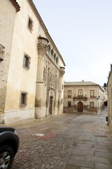 Palacio de Jabalquinto Baeza Jaen province Andalusia Spain