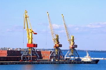 Cargo ship under crane bridge in harbor