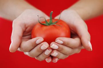 tomato in woman hands © yellowj