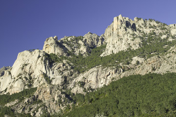 Fototapeta na wymiar montagne corse (region de bavella))