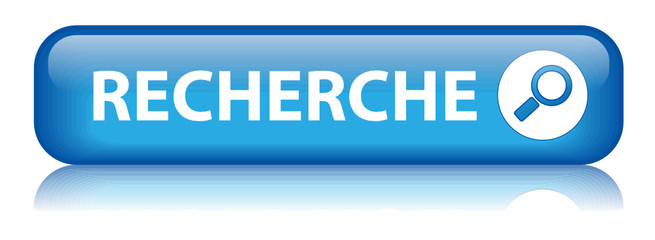Bouton RECHERCHE (rechercher trouver internet moteur en ligne)