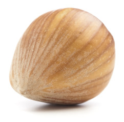 hazelnut