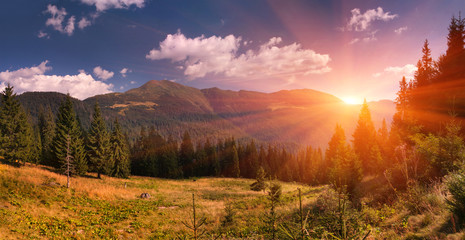 Summer landscape in the mountains. Sunrise