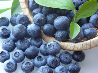 ブルーベリー