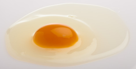 raw egg