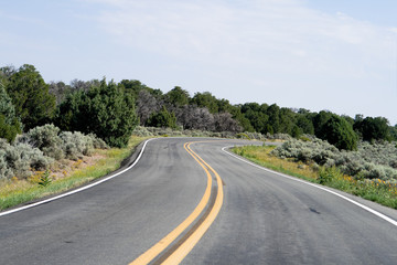 Fototapeta premium Bend in the Road, High Desert, New Mexico, USA