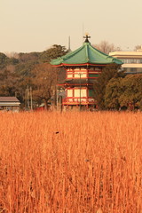 冬の夕暮れの寛永寺・弁天堂 (東京・上野公園)