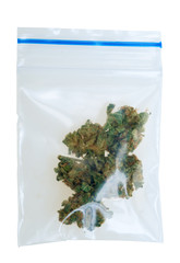 pieces of Cannabis in a plastic bag