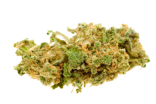Close up of marijuana (Cannabis)