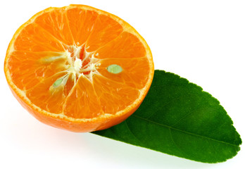 clémentine sur feuille d'agrume