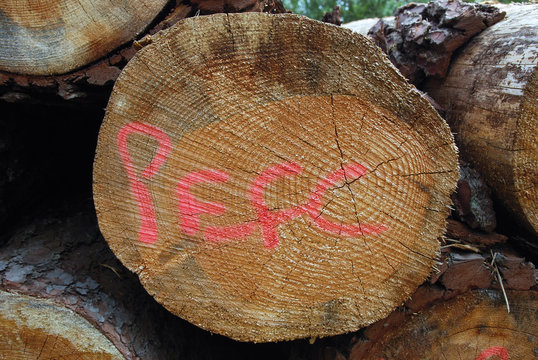 Bois certifié PEFC - gestion forestiere durable