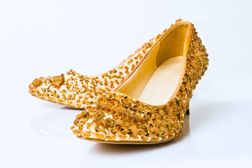 fashion woman shoe