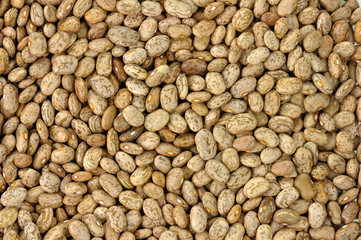 pinto beans background