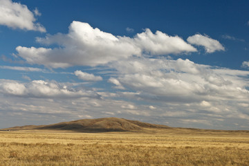 The midday sun in steppe summer day