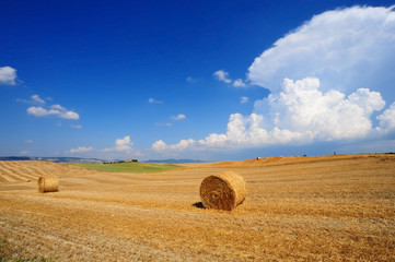 Tuscany Landscape