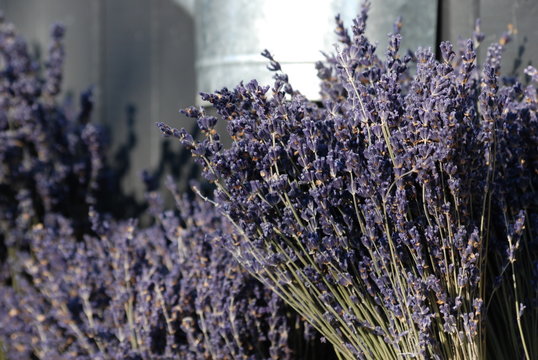 provence et couleur