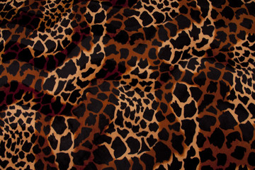 Leopard Pelz
