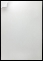 White Page Curl Copyspace, Isolated Background Texture