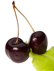Shot of two isolated red cherries