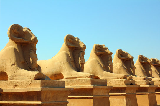 egypt statues of sphinx in karnak temple