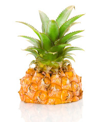 Fresh slice pineapple