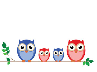 Family of owls sat on a tree branch