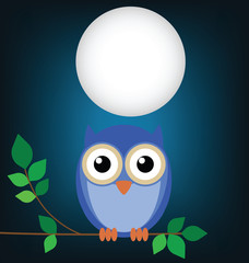 Wise old owl sat on a tree branch at night