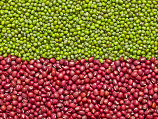 red and green mung beans