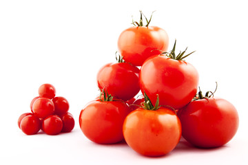 tomatoes