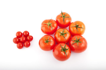 tomatoes