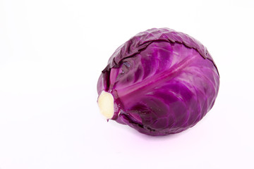 Obraz premium cabbage