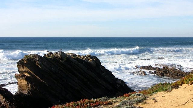 atlantic ocean shore landscape