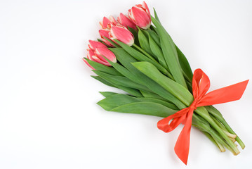 赤いチューリップの花束