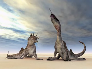 Photo sur Plexiglas Dragons Créatures fantastiques