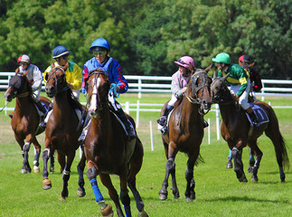 course hippique