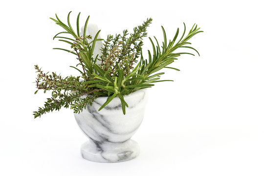 thyme and rosemary