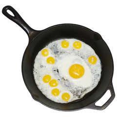 fried eggs