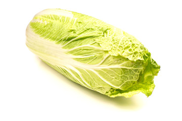 Napa cabbage