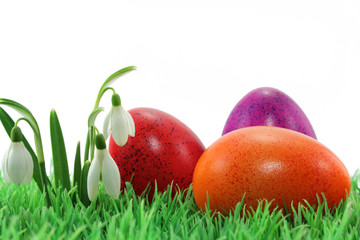 frühlingswiese mit ostereier