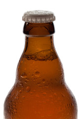 Beer bottle