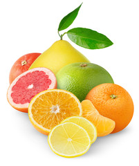 Isolated citrus fruits. Pile of orange, lemon slices, grapefruit, tangerine and pomelo isolated on white background